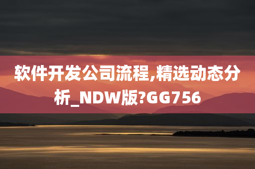 软件开发公司流程,精选动态分析_NDW版?GG756