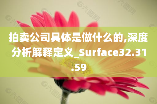 拍卖公司具体是做什么的,深度分析解释定义_Surface32.31.59