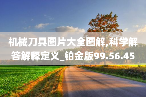 机械刀具图片大全图解,科学解答解释定义_铂金版99.56.45