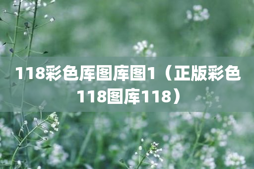 118彩色厍图库图1（正版彩色118图库118）