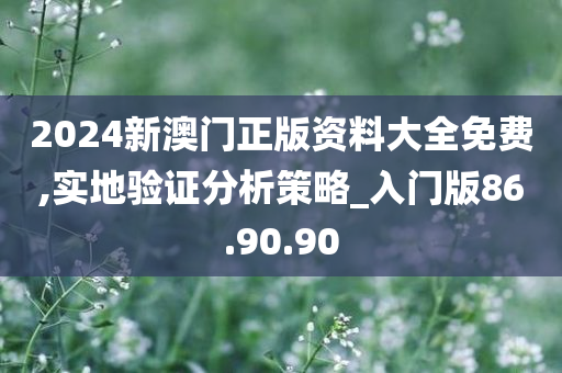 2024新澳门正版资料大全免费,实地验证分析策略_入门版86.90.90