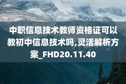 中职信息技术教师资格证可以教初中信息技术吗,灵活解析方案_FHD20.11.40