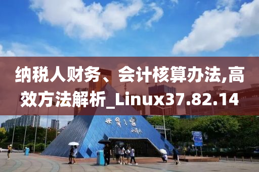 纳税人财务、会计核算办法,高效方法解析_Linux37.82.14