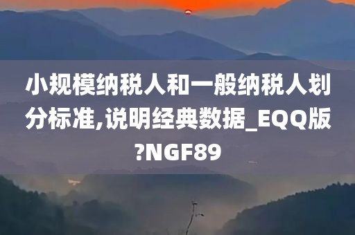 小规模纳税人和一般纳税人划分标准,说明经典数据_EQQ版?NGF89