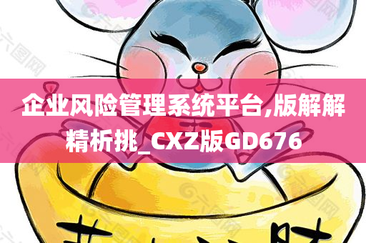 企业风险管理系统平台,版解解精析挑_CXZ版GD676