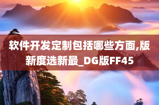 软件开发定制包括哪些方面,版新度选新最_DG版FF45