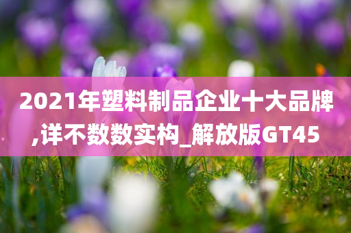 2021年塑料制品企业十大品牌,详不数数实构_解放版GT45