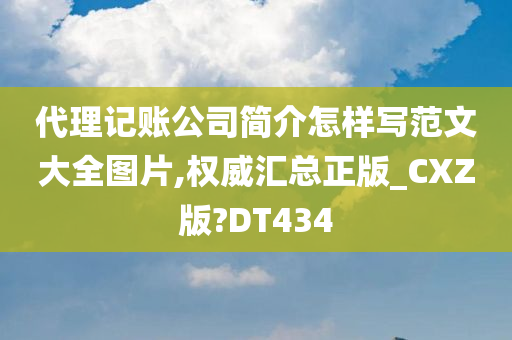 代理记账公司简介怎样写范文大全图片,权威汇总正版_CXZ版?DT434