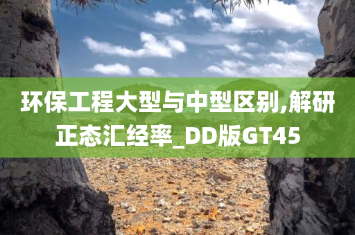 环保工程大型与中型区别,解研正态汇经率_DD版GT45