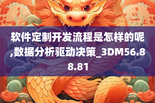 软件定制开发流程是怎样的呢,数据分析驱动决策_3DM56.88.81