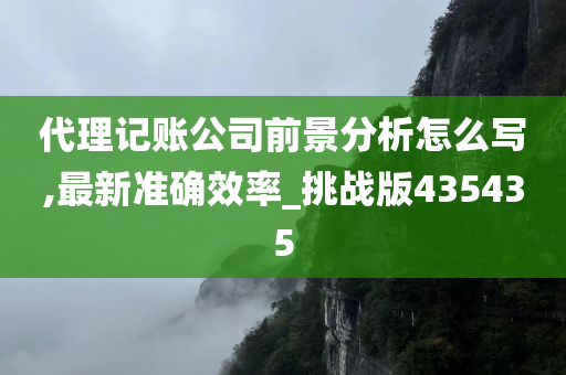 代理记账公司前景分析怎么写,最新准确效率_挑战版435435