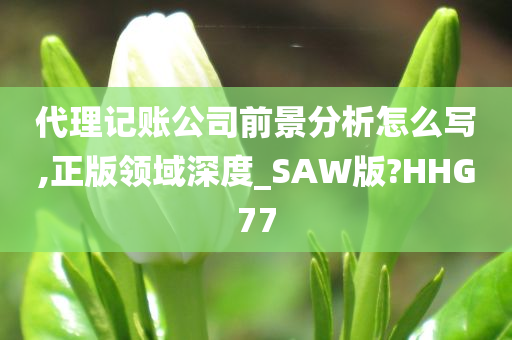 代理记账公司前景分析怎么写,正版领域深度_SAW版?HHG77