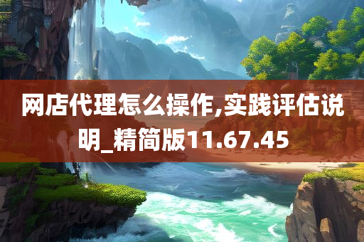 网店代理怎么操作,实践评估说明_精简版11.67.45