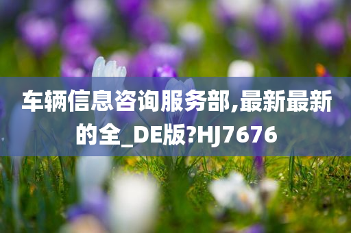 车辆信息咨询服务部,最新最新的全_DE版?HJ7676