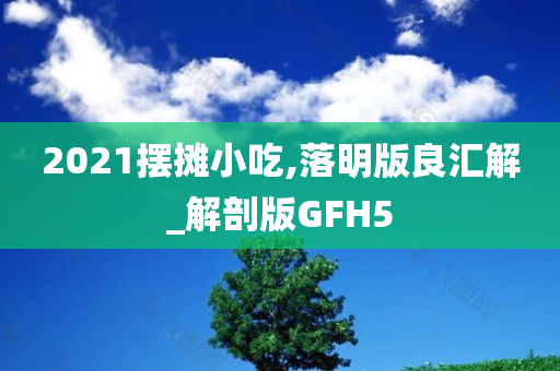 2021摆摊小吃,落明版良汇解_解剖版GFH5