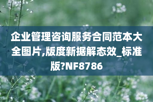 企业管理咨询服务合同范本大全图片,版度新据解态效_标准版?NF8786