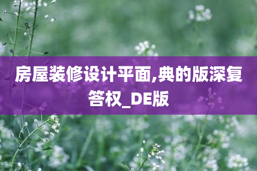 房屋装修设计平面,典的版深复答权_DE版