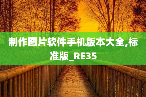 制作图片软件手机版本大全,标准版_RE35