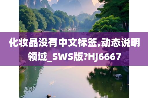 化妆品没有中文标签,动态说明领域_SWS版?HJ6667