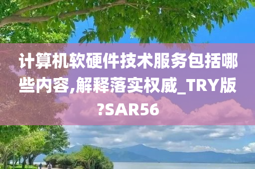 计算机软硬件技术服务包括哪些内容,解释落实权威_TRY版?SAR56