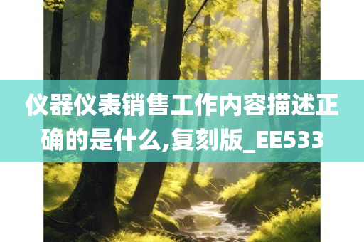 仪器仪表销售工作内容描述正确的是什么,复刻版_EE533