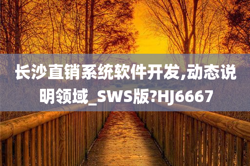 长沙直销系统软件开发,动态说明领域_SWS版?HJ6667