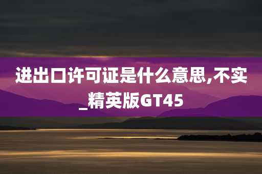 进出口许可证是什么意思,不实_精英版GT45