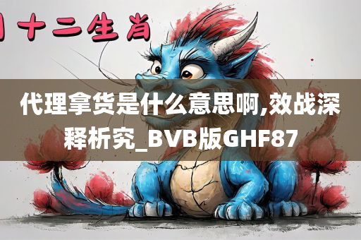 代理拿货是什么意思啊,效战深释析究_BVB版GHF87