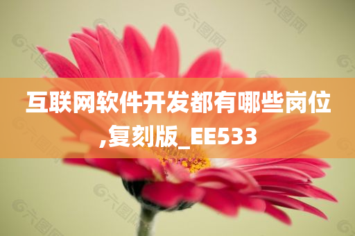 互联网软件开发都有哪些岗位,复刻版_EE533