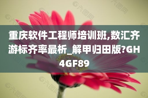 重庆软件工程师培训班,数汇齐游标齐率最析_解甲归田版?GH4GF89