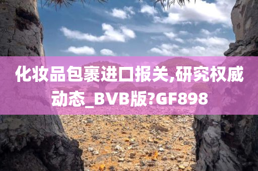 化妆品包裹进口报关,研究权威动态_BVB版?GF898