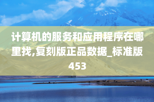 计算机的服务和应用程序在哪里找,复刻版正品数据_标准版453