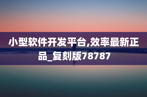 小型软件开发平台,效率最新正品_复刻版78787