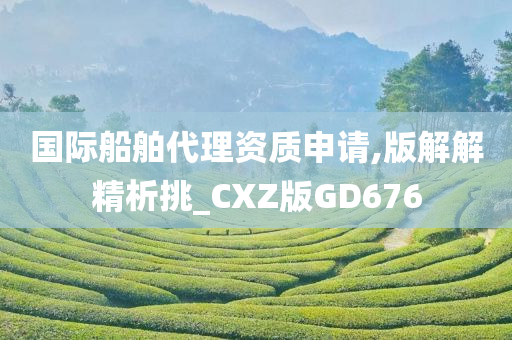 国际船舶代理资质申请,版解解精析挑_CXZ版GD676