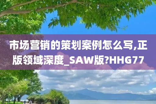 市场营销的策划案例怎么写,正版领域深度_SAW版?HHG77