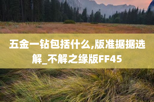 五金一钻包括什么,版准据据选解_不解之缘版FF45