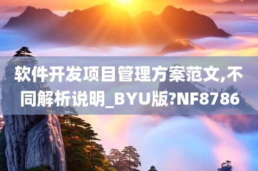 软件开发项目管理方案范文,不同解析说明_BYU版?NF8786