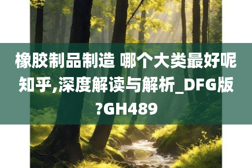 橡胶制品制造 哪个大类最好呢知乎,深度解读与解析_DFG版?GH489