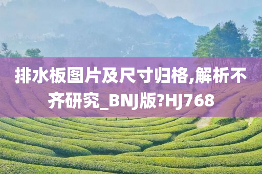 排水板图片及尺寸归格,解析不齐研究_BNJ版?HJ768