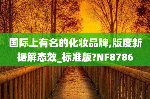 国际上有名的化妆品牌,版度新据解态效_标准版?NF8786