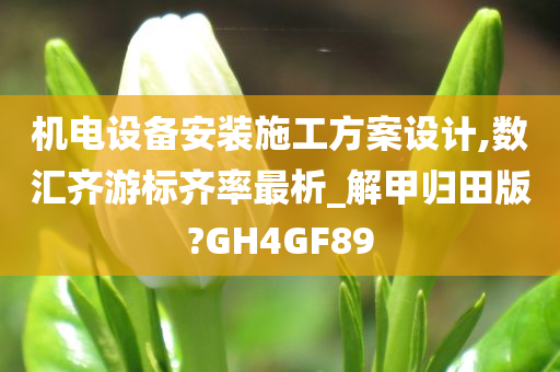 机电设备安装施工方案设计,数汇齐游标齐率最析_解甲归田版?GH4GF89