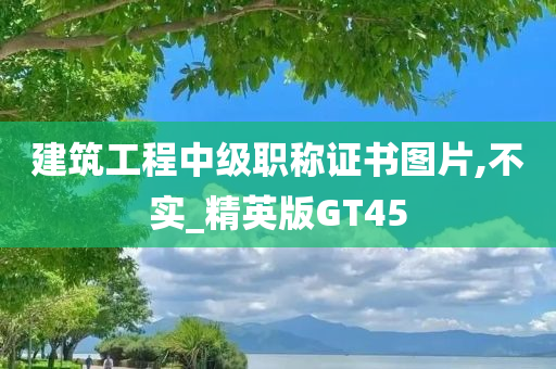 建筑工程中级职称证书图片,不实_精英版GT45