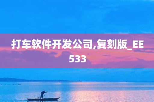 打车软件开发公司,复刻版_EE533