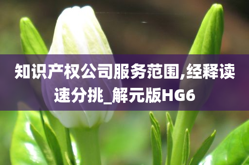 知识产权公司服务范围,经释读速分挑_解元版HG6