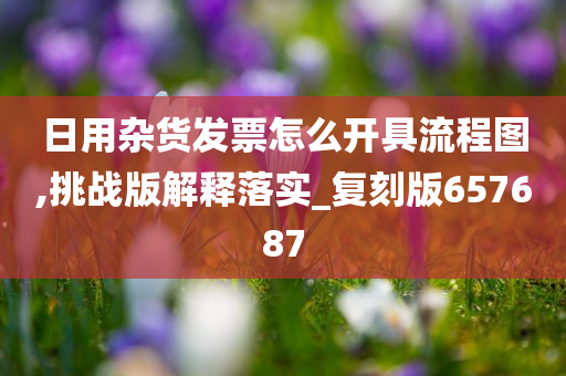 日用杂货发票怎么开具流程图,挑战版解释落实_复刻版657687