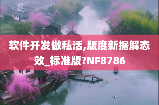 软件开发做私活,版度新据解态效_标准版?NF8786