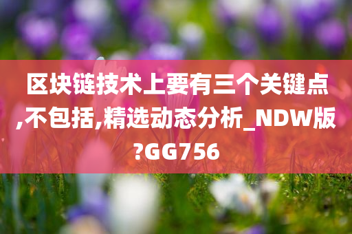 区块链技术上要有三个关键点,不包括,精选动态分析_NDW版?GG756