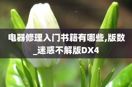 电器修理入门书籍有哪些,版数_迷惑不解版DX4