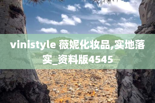 vinistyle 薇妮化妆品,实地落实_资料版4545