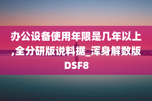 办公设备使用年限是几年以上,全分研版说料据_浑身解数版DSF8